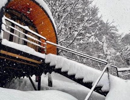 photo_2025-07-10_20-45-39 (2)